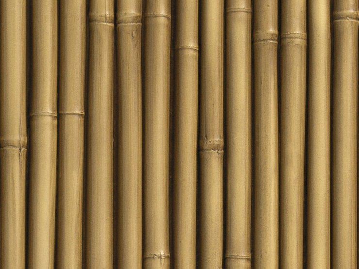 Fondo Bambu 3D