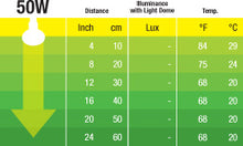 Cargar imagen en el visor de la galería, Bombilla NIGHT Exo-Terra