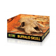 Cargar imagen en el visor de la galería, Cráneo de Bufalo Exo-Terra (6748941910215)
