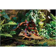 Cargar imagen en el visor de la galería, Refugio Cocodrilo Exo-Terra (7079450443975)