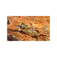 Cargar imagen en el visor de la galería, Refugio Cocodrilo Exo-Terra (7079450443975)