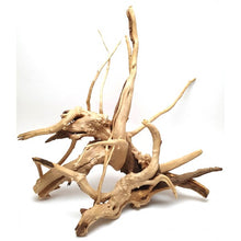 Cargar imagen en el visor de la galería, Rama raíz Spider Gold