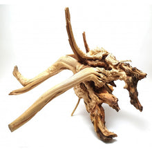 Cargar imagen en el visor de la galería, Rama raíz Spider Gold