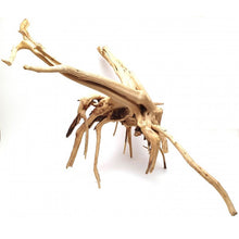 Cargar imagen en el visor de la galería, Rama raíz Spider Gold