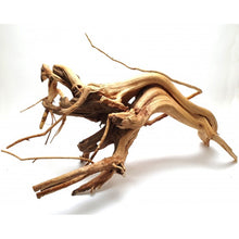 Cargar imagen en el visor de la galería, Rama raíz Spider Gold
