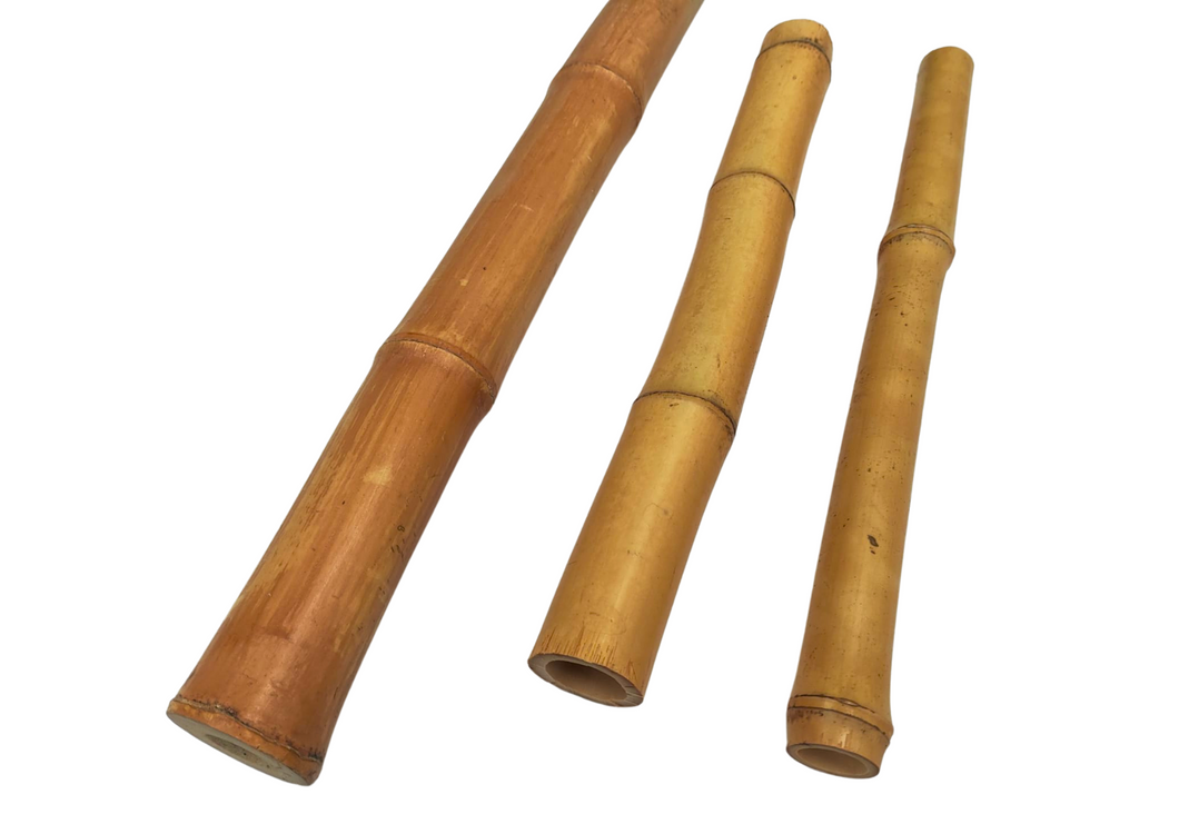 Set cañas de bambú