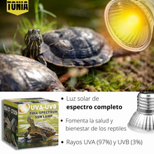 Cargar imagen en el visor de la galería, Kit 4 bombillas UVB 3.0 25W y 50W + Portalámparas

