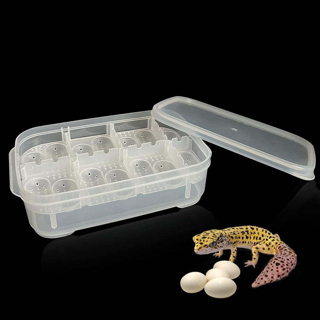 BOX de incubación - ReptilHábitat