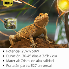 Cargar imagen en el visor de la galería, Kit 4 bombillas UVB 3.0 25W y 50W + Portalámparas

