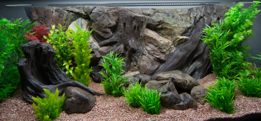 Fondo Piedra y Raices- Varios tamaños