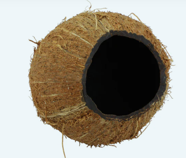 Cueva de coco - Agujero