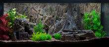 Cargar imagen en el visor de la galería, Fondo Rocoso con tronco - Varios tamaños
