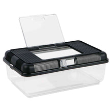 Cargar imagen en el visor de la galería, Caja de Transporte &amp; Alimentación
