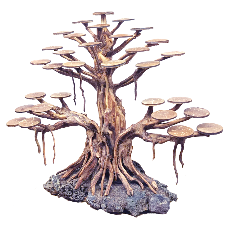 Bonsai con base de piedra