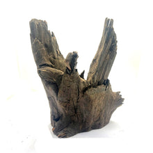 Cargar imagen en el visor de la galería, Tronco Raiz Grande
