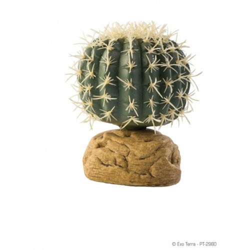 Cactus Barrel - Planta desértica Exo Terra