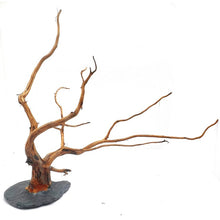 Cargar imagen en el visor de la galería, Rama natural con base de piedra
