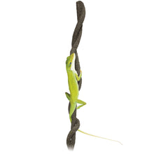 Cargar imagen en el visor de la galería, Lianas 2m

