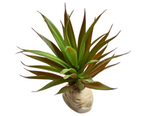 Cargar imagen en el visor de la galería, Planta Ananas de decoración para terrarios - ReptilHábitat
